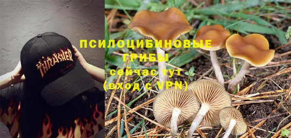 mdpv Михайловск