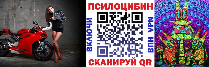 Купить закладки  Ртищево  Галлюциногенные грибы ЛСД 
